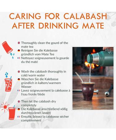  Yerbee Yerba Mate Tea Set Pajarito lemon 500 g | Yerba Mate du paraguay | Detox and Energy Drinks - Buy Online on GoSupps.com