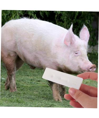Magiclulu 4-Piece Pregnant Tester Kit | Farm-Test Tools for Pregnancy Strips in Animals | Sow Pregnancy Test Strips - High Accuracy | Durable & Reliable - Buy Online on GoSupps.com