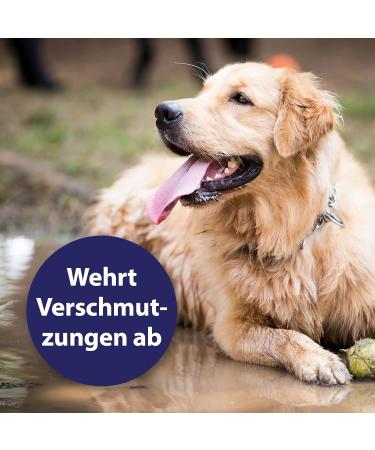 Canosept Fur Care Spray for Dogs 250ml - De-Filzing & Mite Solution for Easy-to-Comb Shiny Fur - Buy Online on GoSupps.com
