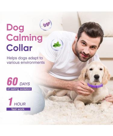 Nolace Calming Capacity Collar for Cats & Dogs - Soothing Adjustable Pheromone Collar (2 Pack) - Safe Waterproof Sedative for Fear Relief - Buy Online on GoSupps.com