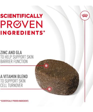 Royal Canin Dog Supplement for Skin & Coat Soft Chews 240g - Buy Online on GoSupps.com