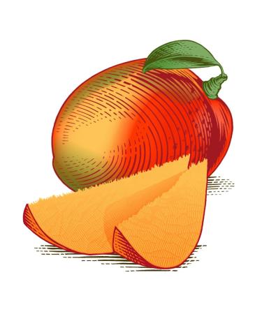 Burt's Bees 100% Natural Mango Butter Lip Balm - 12 Tubes - Buy Online on GoSupps.com