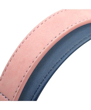 Didog Custom Pink Dog Collar - Soft Padded Leather with Engraved Nameplate | D-Ring for Small & Medium Dogs (40-50cm) - Buy Online on GoSupps.com