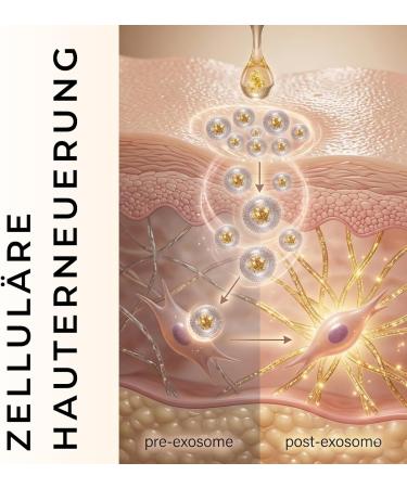 L'AYLLA Exosome Glow Oil - Huile pour le visage rayonnante avec exosomes - Or 24 carats - Cell de tige v g tale - Pour lissage soign et imm diat - Peau lumineuse - V g talien et suisse - Buy Online on GoSupps.com