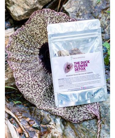 Buy Jamaican Duck Flower - Dr. Sebi Approved Wildcrafted for Holistic Wellness | Yaga Lifestyle - Buy Online on GoSupps.com