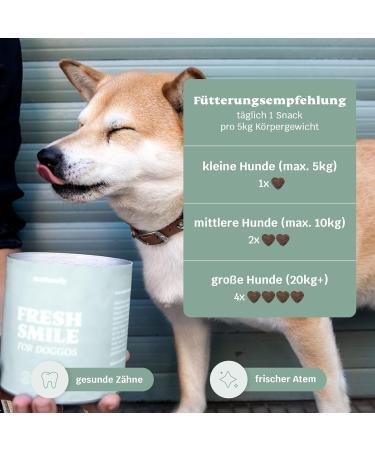 Mammaly Dental Care Snacks for Dogs - Fresh Smile Bad Breath Remedy Fressnapf Award Winner - 270 Snacks (3 Pack) - Buy Online on GoSupps.com