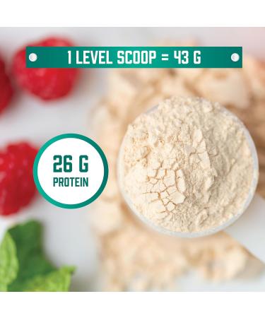 Now Sports Nutrition Whey Protein 24 G with BCAAs Matcha Powder 2-Pound Matcha 1 Pound (Pack of 2) - Buy Online on GoSupps.com