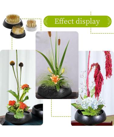 Japanese Flower Pin Holder Set - 3 Sizes (0.91, 1.34, 1.81) for Floral Arrangement and Decoration - Buy Online on GoSupps.com