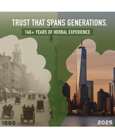 bixa BOTANICAL | Amalaki Amla Berries Powder | Indian Gooseberry | Rich in Natural Vitamin C | Non GMO | Gluten Free | No Preservatives | Skin Glow and Hair Strength Support | 7 oz 200 g Amla 7 Ounce (Pack of 1) - Buy Online on GoSupps.com