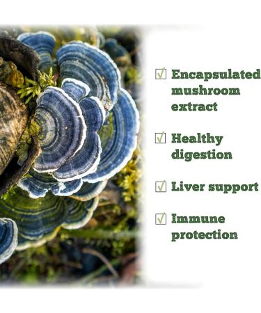 St. Francis Herb Farm Turkey Tail Mushroom Capsules | 100% Pure | High Potency | Immune Booster | Prebiotic to Support Healthy Digestion | Fruiting Body | High in Beta Glucans | 60 Vegicaps - Buy Online on GoSupps.com