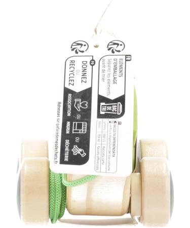 Hape Pull Frosch Fridolin - Wooden Frog Pull Toy for Toddlers | Colorful Fly-Eating Toy | International Shipping Available - Buy Online on GoSupps.com