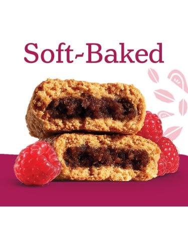 Natures Bakery Whole Wheat Fig Bars - 2 Twin Pack Boxes (64 Bars) - Blueberry & Raspberry Flavors - Vegan Non-GMO Healthy Snacks - Buy Online on GoSupps.com