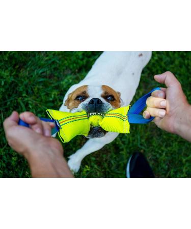Buy Bull Fit Dog Toys (2-Pack) | Durable 30cm Fire Hose Tug Toys for K9 Training & Play - Buy Online on GoSupps.com
