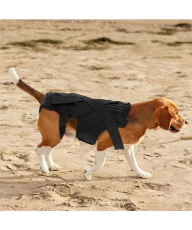 PURPLELILY Injury Support Dog Vest Aid Recovery And Improve Comfort Breathable Vest Bracer Provide Stability And Support Small - Buy Online on GoSupps.com