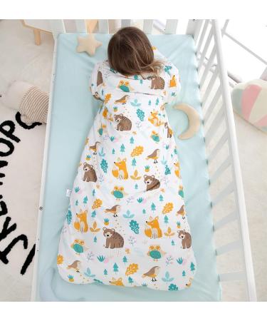 Chilsuessy Forest Bear Baby Sleeping Bag | 2.5 Tog Wearable Blanket | 2-4 Years - Buy Online on GoSupps.com