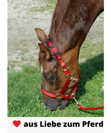 Buy HorseGuard Muzzle for Horses - Teddy Fleece Padding Sizes for Thoroughbreds & More - International Shipping - Buy Online on GoSupps.com