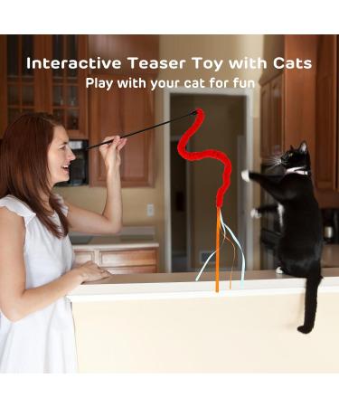 Amaxiu Cat Rainbow Wand Toys 3pcs Interactive Cat Teaser Wand String Cat Feather Toys for Indoor Colorful Ribbon Charmer for Kittens Exerciser Playing Teaser Training Catcher(Style C) - Buy Online on GoSupps.com