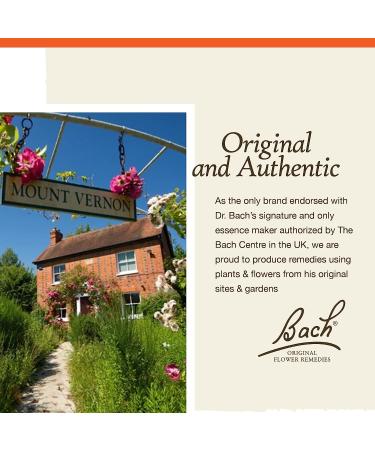 Bach Rock Rose Flower Remedy 10mL - Non-Alcohol Formula for Courage, Holistic Wellness & Stress Relief | Vegan Homeopathic Essence - Buy Online on GoSupps.com