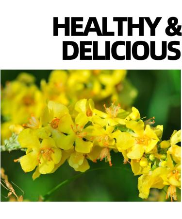 RASPIO Mullein Leaf Tea Natural Herbal Tea Mullein Tea Bags for Cleansing the Lungs Supporting the Respiratory Tracts and Mucous Membranes Sugar Free Green - Buy Online on GoSupps.com