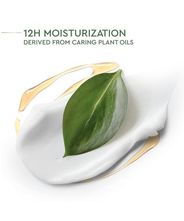 Dove Care by Plants Lemongrass Deodorant Stick 2.6 oz - 3 Pack | Aluminum-Free & Long-Lasting Protection - Buy Online on GoSupps.com