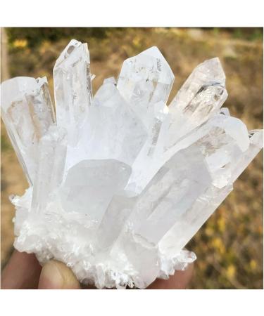 Natural Crystal Rough Natural Crystal Rough Natural Rare White Quartz Crystal Cluster SpecimenAntiques Exorcise Evil Spirits Money Drawing Semi-Precious Stone Jade Jewelry Jaspery Natural (Size : 550 550-600g - Buy Online on GoSupps.com