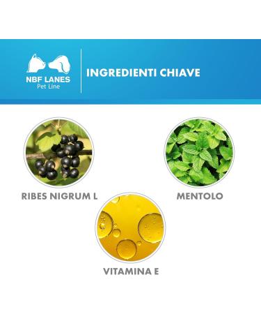 Nbf Lanes Blackcurrant Pet Ultra Shampoo 200 ml - Premium Pet Care for Healthy Shiny Coats | International Shipping Available - Buy Online on GoSupps.com