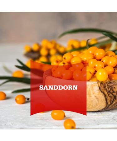 Ballistol Body Care Sea Buckthorn Wellness Oil 100 ml - Natural Skin & Hair Nourishment | International Shipping - Buy Online on GoSupps.com