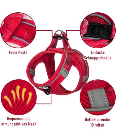 Buy Red Padded Dog Harness for Small Dogs | Comfortable XS Puppy Harness - Shop Now! - Buy Online on GoSupps.com