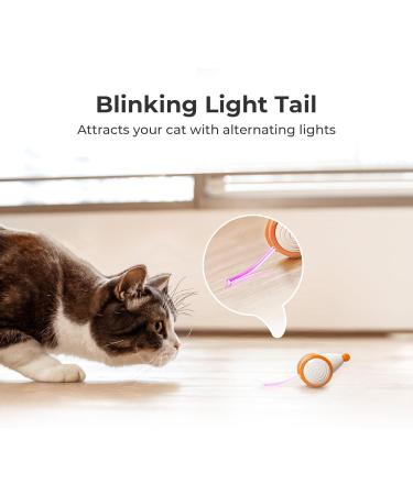 Cheerble Interactive Cat Toys for Indoor Cats Automatic Cat Toy with LED Lights  Wicked Mouse Toy USB Rechargeable Auto On & Off - Yellow - Buy Online on GoSupps.com