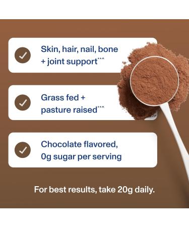Vital Proteins Collagen Peptides collagen peptides chocolate 383 g - Buy Online on GoSupps.com