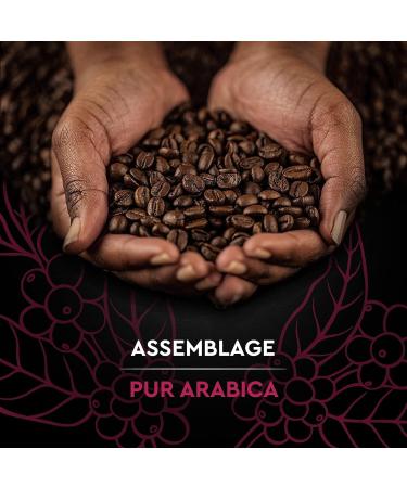 CARTE NOIRE - Caf Grain Carte Noire Espresso - 100% Arabica - Paquet de 2 kg - Fabriqu en France - Buy Online on GoSupps.com