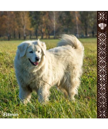 Fitmin Dog Purity GF Adult Beef Dog Food 2 kg - Buy Online on GoSupps.com