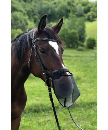 Harrison Howard Nose Net Nose Filter Nose Cover Reduces Head-Shaking Breathable & Protective for Sensitive Nostril Black Medium (Cob) Black