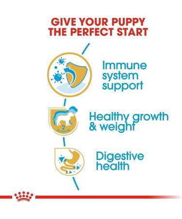 Royal Canin Dog Food Labrador Retriever Puppy Dry Mix 12kg 12 kg (Pack of 1) - Buy Online on GoSupps.com