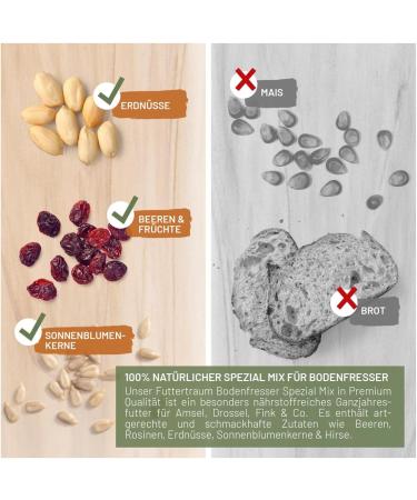 Premium Wild Bird Feed 5kg - Amsel Futter with Berries & Sunflower Seeds for Year-Round Feeding - Buy Online on GoSupps.com