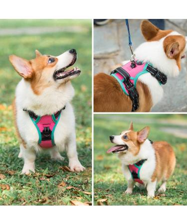 Phoepet Reflective Adjustable Dog Harness - Hot Pink XS with Training Handle 2 Metal Hooks & 3 Snap Buckles - Buy Online on GoSupps.com