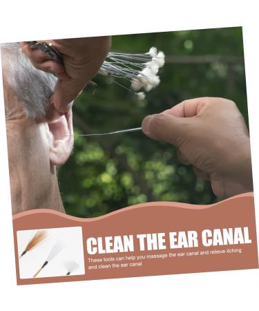 Earwax Cleaner Tool Set - Silver Needle Silk Major Earwax Removal Stick - 2 Sets, 18.5x0.5cm - Ear Picking Tool - Buy Online on GoSupps.com