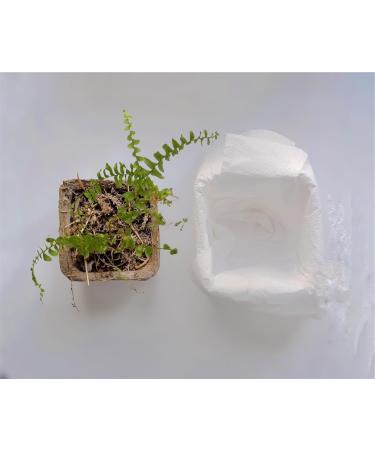 natural handmouldable pasta without baking sustainable and ideal for creative hobbies doityourself pack of 4 pieces of 1 kg each - Buy Online on GoSupps.com