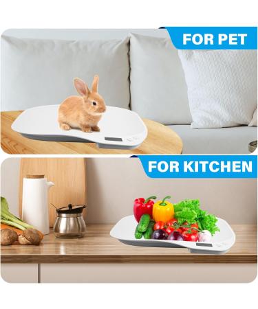 BORDEAG Pet Scale 15 Kg ( 1 G) Digital Pet Scale Digital Bathroom Scale Mini Digital Scale Cat Scale Dog Scale for Kitten Puppy Hamster - Buy Online on GoSupps.com