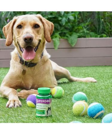 Vitabiotics Superdog Health and Vitality | Comprehensive Supplement For Dogs with Linseed Oil Ginseng & Vitamins A C D & E | From UK's No.1 Vitamin Company - Buy Online on GoSupps.com