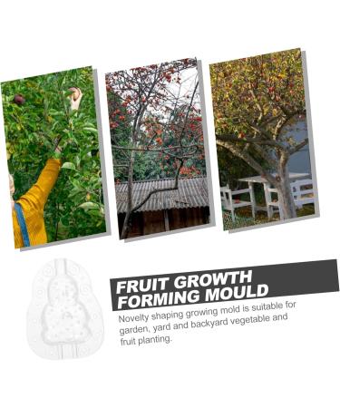 BESPORTBLE 3pcs Shaper Watermelon Forming Shaping Fruit Buddha Shaped DIY Mould Small Peach for Transparent 9x8cm - Buy Online on GoSupps.com