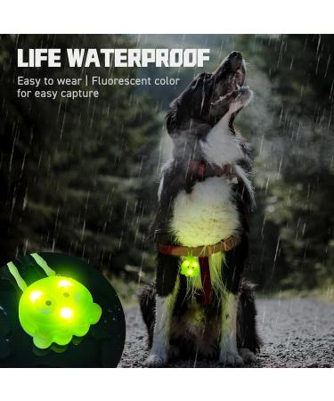 Buy Laroo Safety LED Lights for Dogs & Cats - Green Octopus | 3 Flashing Fashionable Safety Lights for Outdoor Walks & Sports - Buy Online on GoSupps.com