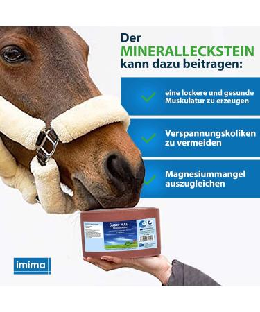 Buy Imima Mineralleckstein Horse Supermag Salzleckstein Set - 2 x 3kg Mineral Salt Licking Stones for Horses Sheep Goats & Cattle - 6 kg Pack - Buy Online on GoSupps.com