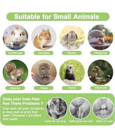 Hutvd Rabbit Cheese Stuff + Dental Care Chewing Toys for Small Animals | Natural Rose Marigold & Forget-Me-Not Sticks for Hamsters Guinea Pigs & Chinchillas - Buy Online on GoSupps.com