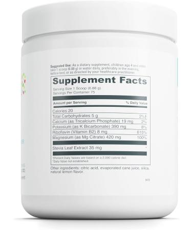 Little DaVinci Fizzy Mag - Kids Magnesium Supplement for Brain Health & Behavior - Lemon Lime Flavor - 516g - Buy Online on GoSupps.com