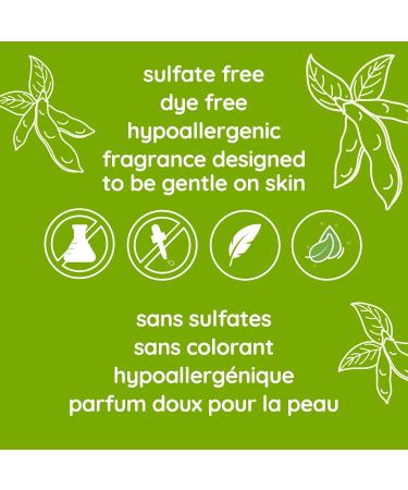 Aveeno Face Face scrub positively Radiant Skin Brightening Daily Facial Exfoliator for Dark Spots With soy extract Oil free non-comedogenic 198 Grams 198 g (Pack of 1) - Buy Online on GoSupps.com