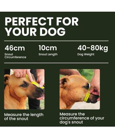 Bronzedog Metal Dog Muzzle for XL German Mastiffs & Bernhardiners - Breathable Wire Basket with Adjustable Leather Straps - Buy Online on GoSupps.com