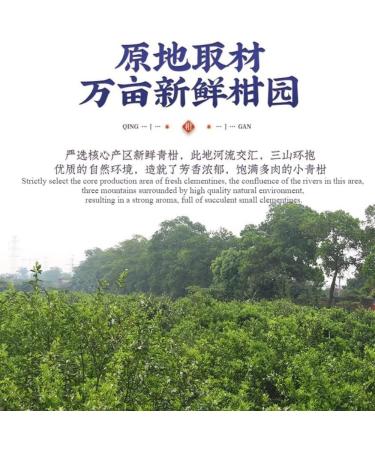 Xinhui Petite Mandarine Verte Th M r Puerh Vieilli Th Pu Orange Imp rial 250g / 8 82oz - Buy Online on GoSupps.com