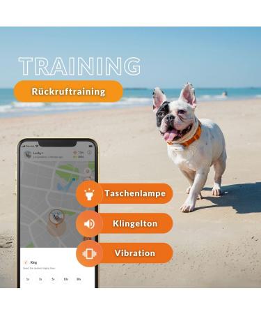 Weeneect XS Mini GPS Tracker for Dogs - Real-Time Tracking Waterproof & Subscription | Smallest Model 2023 - Buy Online on GoSupps.com