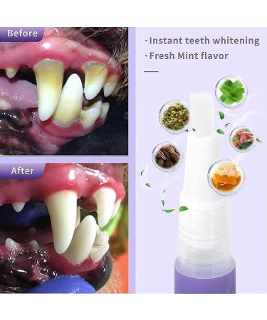 Pet Oral Repair Gel Pet Oral Restoration Gel Pet Teeth Repairing Kit Pet Teeth Whitening Pen Pet Breath Freshener Keep Your Pet Oral Healthy (2PCS) - Buy Online on GoSupps.com